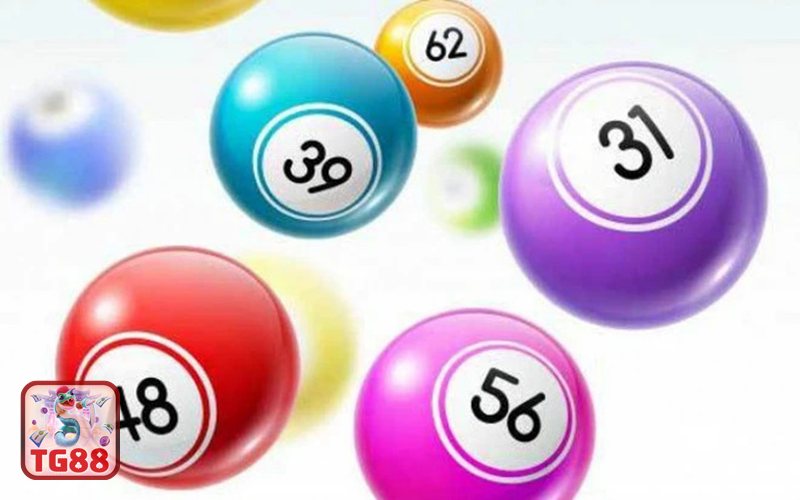 Xổ Số Miền Nam - Lô xiên: lựa chọn cho người thích tính toán